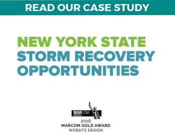 New York State Storm Recovery's Portfolio Icon