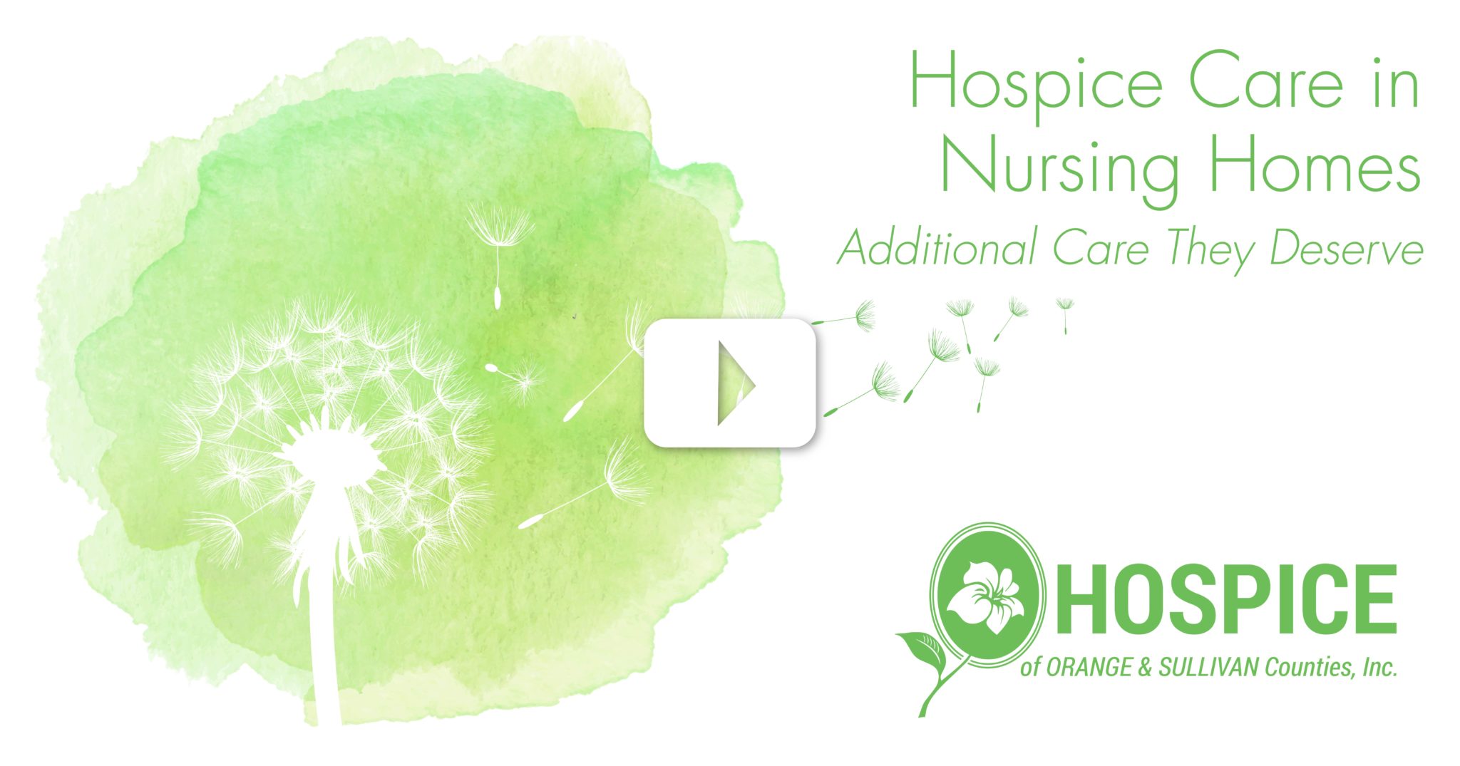 Hospice Care in Nursing Homes Video