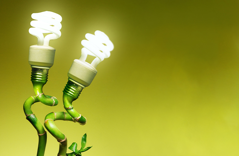 2 ecofriendly lightbulbs similar to a green website