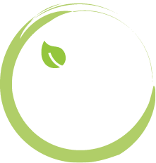 PEEC Icon 3